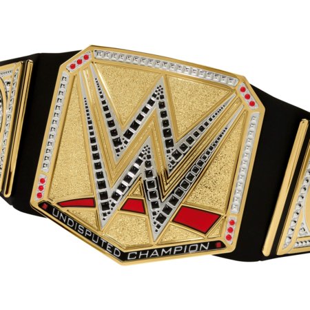 WWE Undisputed Universal čempiona josta, HYJ35 