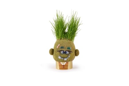 HAPE grasshead Monster Plant Pals, 847769 