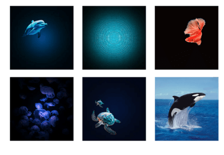 KIDYWOLF projektors Galaxy, piparmētru krāsā, KIDYSTAR-GR 