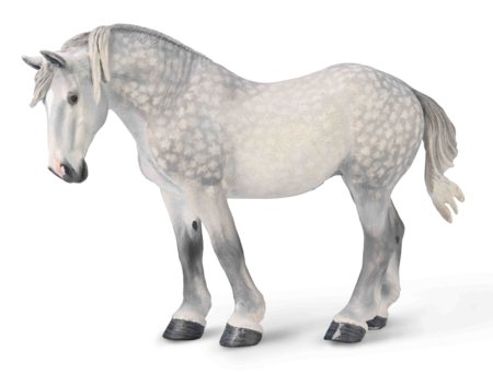 COLLECTA figūriņa Percheron zirgs, plankumains pelēks, 80029 