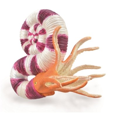 COLLECTA figūriņa amonīts pravitoceras, 88927 