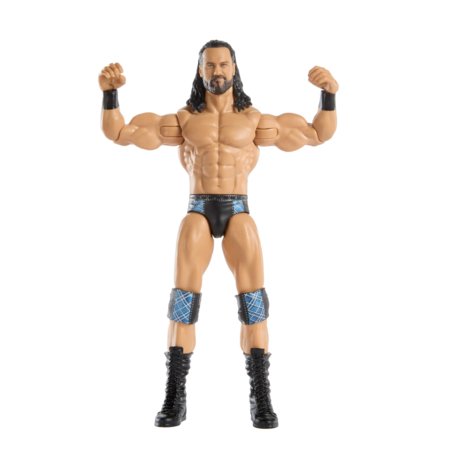 WWE Basic cīkstoņa figūra, asort., 15 cm, GDF62 