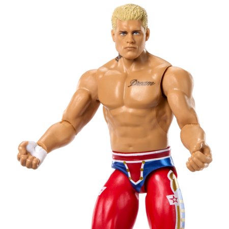 WWE Basic cīkstoņa figūra, asort., 15 cm, GDF62 