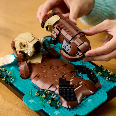 21366 LEGO® Ideas Peldoši jūras ūdri 