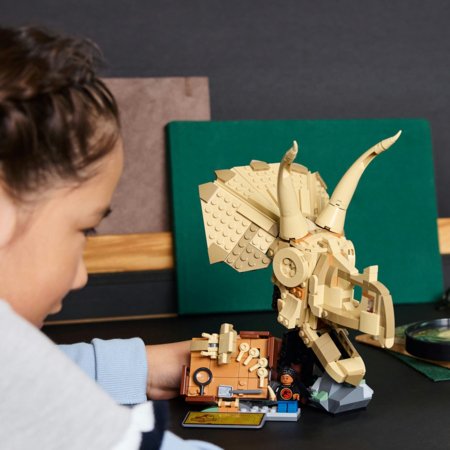 76969 LEGO® Jurassic World™ Dinozauru fosilijas: Triceratopa galvaskauss 