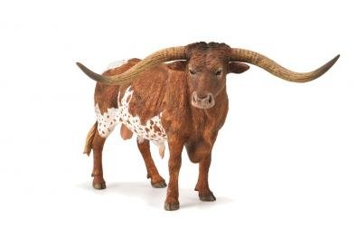 COLLECTA Texas Longhorn bullis (XL) 88925 
