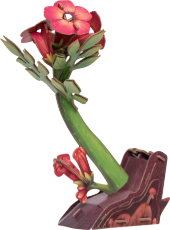 MAKEBUG 3D papīra puzle Hummingbird, MB-D-0058 