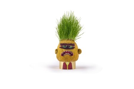 HAPE grasshead Monster Plant Pals, 847769 