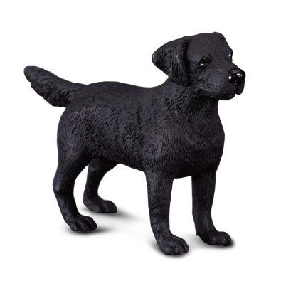 COLLECTA Labradora retrīvers (M) 88076 