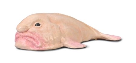 COLLECTA figūra Blobfish, 80037 