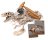 CLEMENTONI Science & Play eksperimentu komplekts The History Of Life on Earth, 61396 