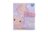 DREAM POP dienasgrāmata ar kodu, aksolotlis, K30300-33015 