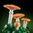 11505 LEGO® Botanicals Meža sēnes 