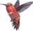 MAKEBUG 3D papīra puzle Hummingbird, MB-D-0058 