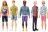 BARBIE Fashionistas lelle Kens, 3asst, DWK44 