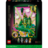 75685 LEGO® Wicked Emerald City: sienas māksla 