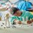 31152 LEGO® Creator Kosmosa Astronauts 