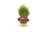 HAPE grasshead Monster Plant Pals, 847769 