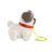 FISHER-PRICE mopsis, HTW94 