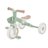 GLOBBER mācību trīsritenis Learning Trike 2in1 Plus, pistāciju, 737-109 