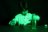 SMARTIVITY konstruktors-laboratorija Glow in the Dark, SMRT1214 