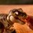 PRIMAL HATCH interaktīvā rotaļlieta Jurassic World, 6076597 
