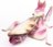 MAKEBUG 3D papīra puzle Orchid Mantis, MB-B-0003 