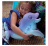 FUR REAL interaktīvā mīkstā rotaļlieta Dolphin, F24015L0 F24015L0