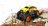 MAISTO TECH RC automašīna Off Road Go, 21cm, 82759 82759