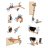 HAPE optical science lab, E3034 E3034