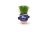 HAPE grasshead Monster Plant Pals, 847769 