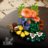 11505 LEGO® Botanicals Meža sēnes 