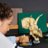 76969 LEGO® Jurassic World™ Dinozauru fosilijas: Triceratopa galvaskauss 