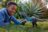 JURASSIC WORLD MUSCLE MADNESS interaktīvs dinozaurs T. rex, JKG92 
