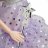BARBIE zobu feja, HBY16 HBY16