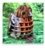 MAKEBUG 3D papīra puzle robin, MB-D-0025 